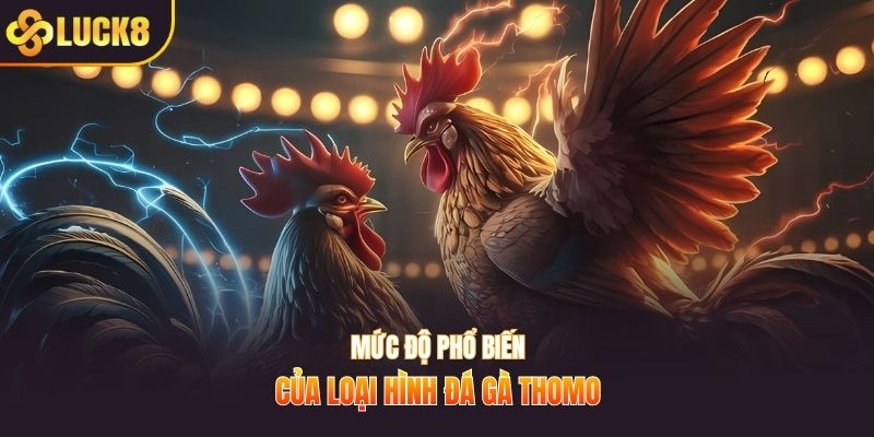Mức độ phổ biến của loại hình đá gà Thomo