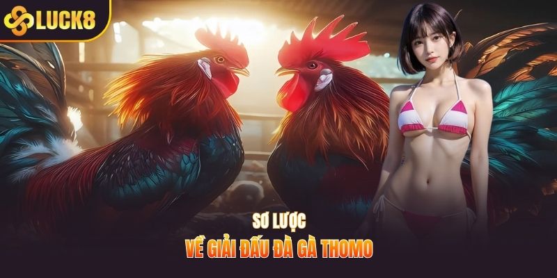 Sơ lược về giải đấu đà gà thomo