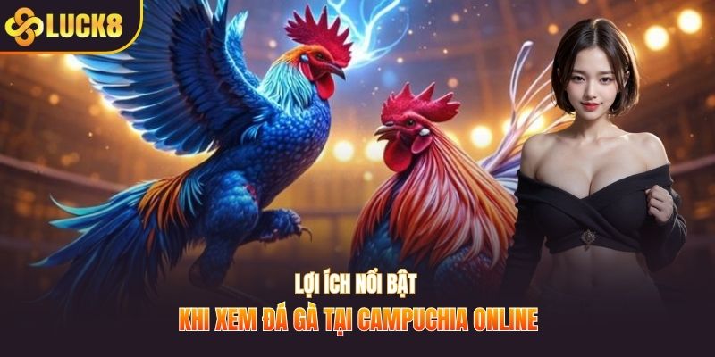Lợi ích nổi bật khi xem đá gà tại Campuchia online